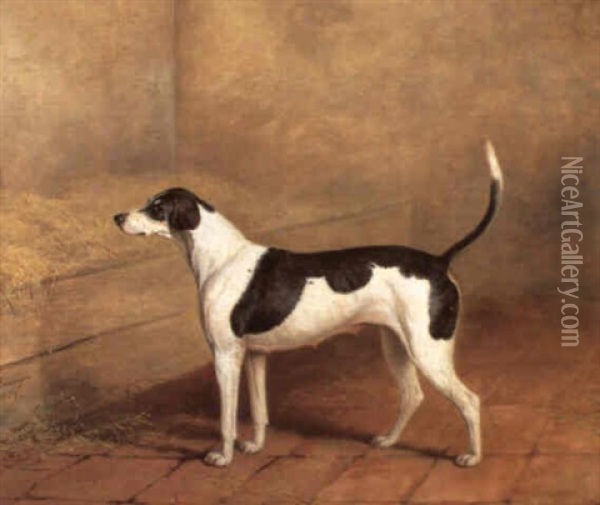 The Hound 'nosegay' In A Stable Oil Painting - James Barenger the Elder