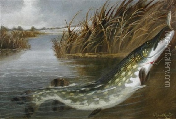 Gaffed Pike Oil Painting - A. Roland Knight