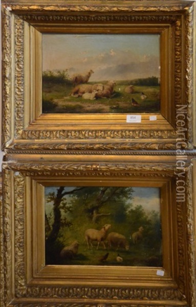 Moutons Au Paturage (pair) Oil Painting - Auguste Coomans