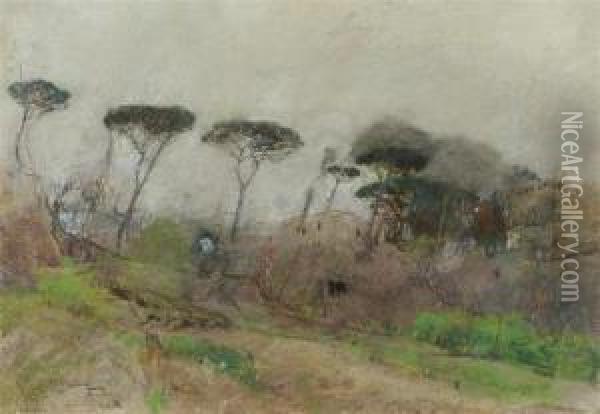 Landscape With Pine Treas Oil Painting - Giuseppe Casciaro