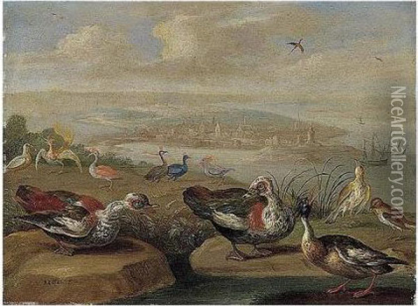 Ducks And Other Birds On The Seashore Oil Painting - Jan van Kessel