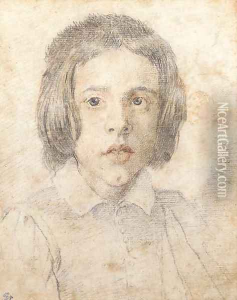 A young boy with long hair, bust-length Oil Painting - Gian Lorenzo Bernini