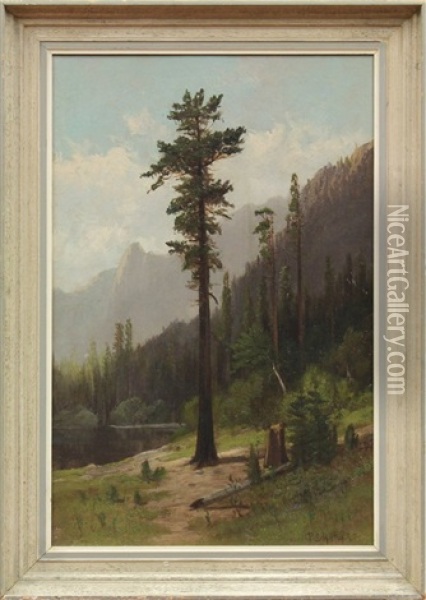 Lone Pine Oil Painting - Frederick Ferdinand Schafer