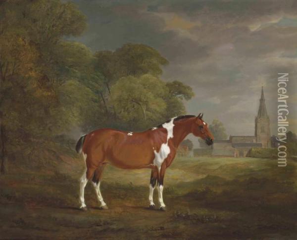 Pat, A Skewbald Cob Belonging To
 Colonel John Frewen Turner, Of Cold Overton Hall, Leicestershire Oil Painting - John Snr Ferneley