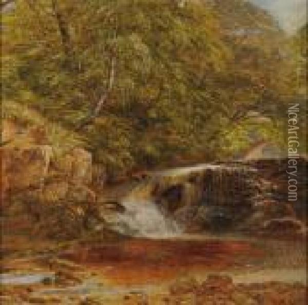Forest Interior/a Northumberland, England View Oil Painting - Thomas Creswick