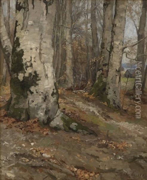 Skogsinterior Med Bok 1895 Oil Painting - Jahn Ekenaes