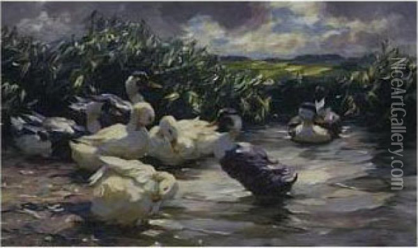 Seven Ducks In A Pond Oil Painting - Alexander Max Koester