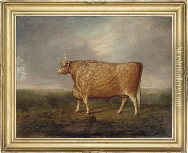 A Prize Longhorned Bull Oil Painting - Joseph Wilson Forster