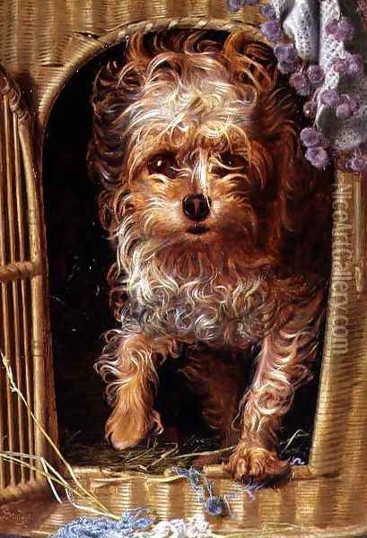 Darby, a Yorkshire Terrier Oil Painting - Anthony Frederick Sandys