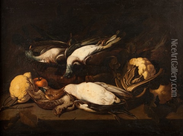 Nature Morte Canard Pilet, Perdreau Et Ramiers, Chou-fleur, Mandarine Et Cedrat Oil Painting - Giovanni Battista Recco