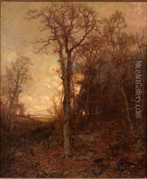 Jackrabbit On A Woodland Path Oil Painting - Jervis McEntee