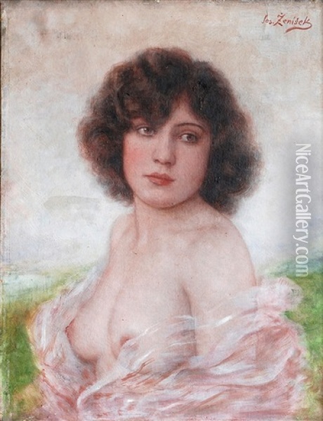 Girl's Portrait Oil Painting - Josef Zenisek