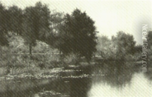 Summer Landscape With Pond Oil Painting - Burr H. Nicholls