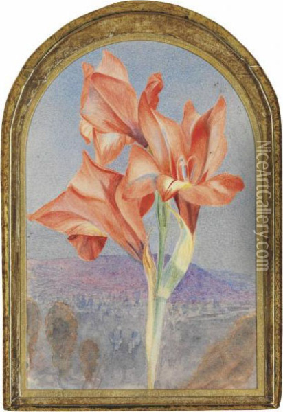 Amaryllis In A Landscape Oil Painting - Henry Roderick Newman