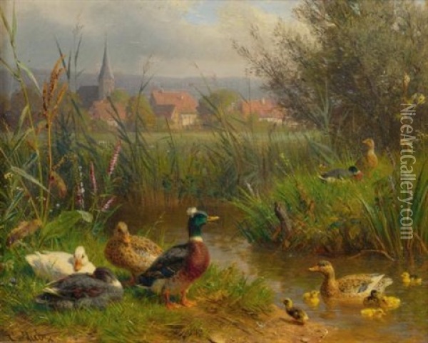 Ducks Oil Painting - Carl Jutz the Elder