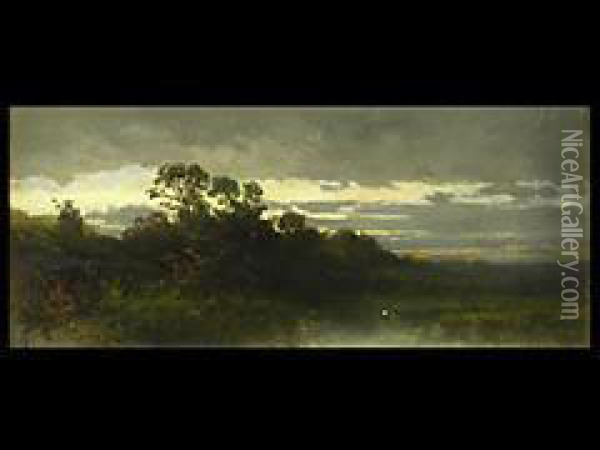 Abendliche Moorlandschaft Oil Painting - Philipp Roth