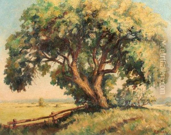 Alter Baum In Landschaft Oil Painting - Fritz Baer