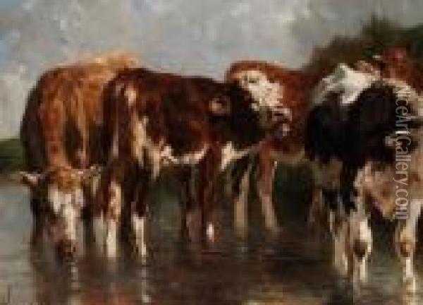 Rinder An Der Tranke Oil Painting - Anton Braith