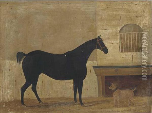 Bob, A Dapple Grey Saddled Hack With Tear On, A Terrier Oil Painting - W. M. Fellows