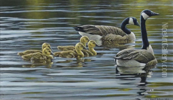Canada Geese With Young Oil Painting - Robert Bateman
