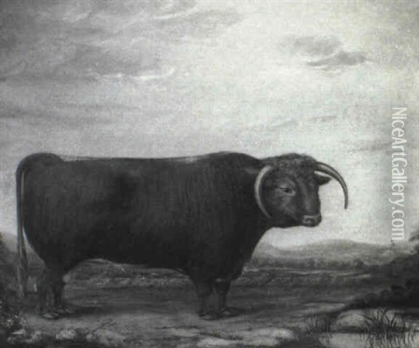 A Brown Prize Bull In A Landscape Oil Painting - Thomas Walker Bretland