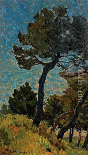 Pineta A Campolecciano (pini Marittimi) Oil Painting - Mario Puccini
