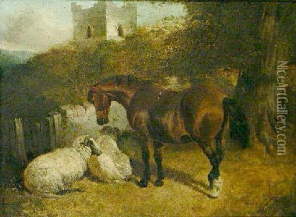 Horse And Sheep With Castle Beyond Oil Painting - John Frederick Herring Snr