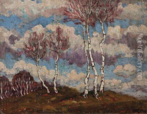 Birch Trees Oil Painting - Jan Honsa