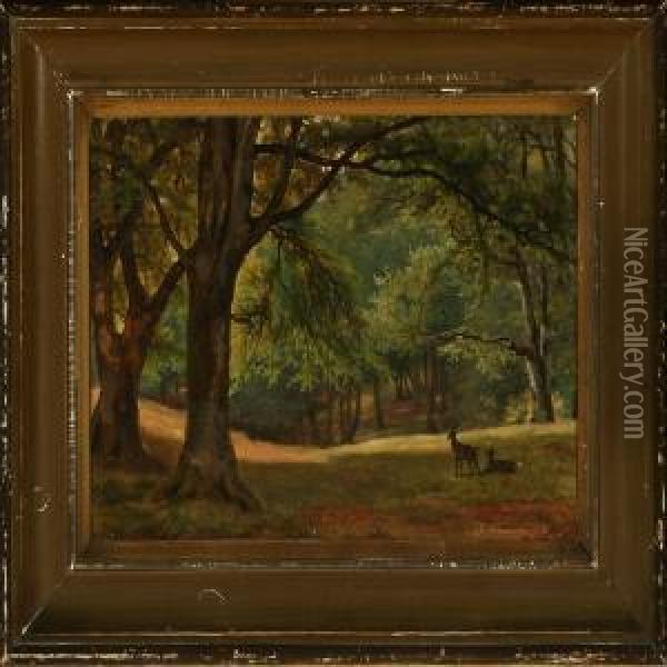 Forest Scenery With Two Deer In A Glade Oil Painting - David Monies