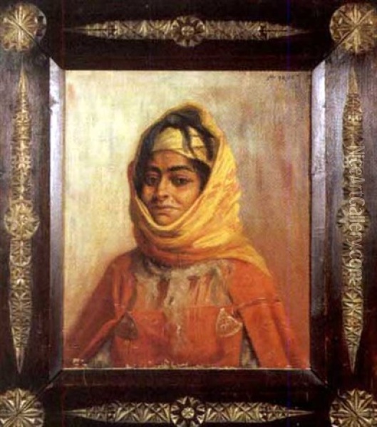 Femme Arabe Oil Painting - Antoine Druet