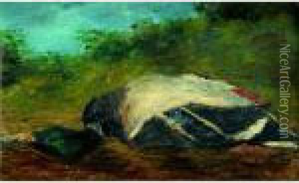 Duck In A Landscape Oil Painting - Gustave Courbet