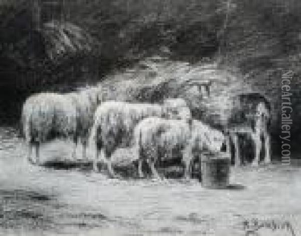 A Study Of Sheep Oil Painting - Rosa Bonheur