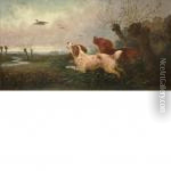 Spaniels Flushingpheasant Oil Painting - George Armfield