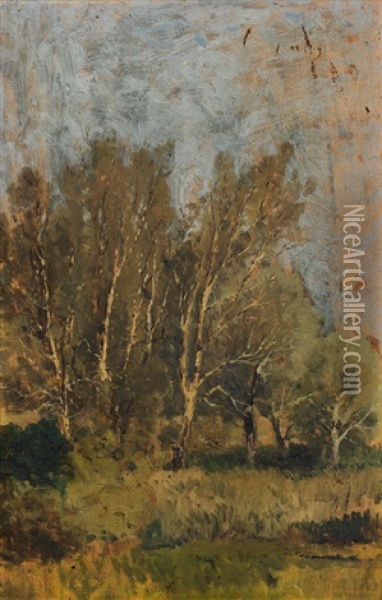Birches Oil Painting - Theodor von Hoermann