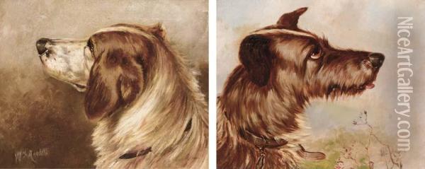 The Head Of A Terrier; And The Head Of A Gun Dog Oil Painting - William Ansdell
