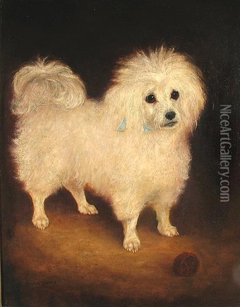A Portrait Of A French Poodle Oil Painting - Latham Barnes