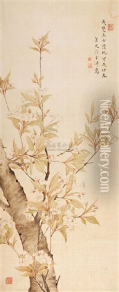 Pear Blossom Oil Painting -  Zhuang Chaishi