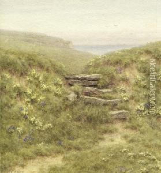 Wiesenlandschaft An Der Kuste Von Donegal Oil Painting - Helen Mary Elizabeth Allingham