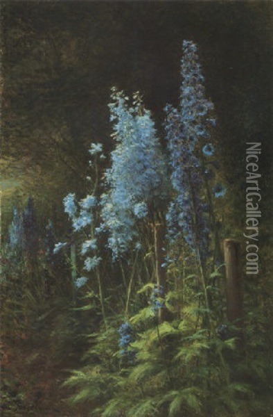 Delphiniums In A Wooded Landscape Oil Painting - Joseph Farquharson