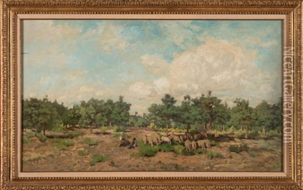Moutons Dans Le Bois De Sapins Oil Painting - Adriaan Josef Heymans