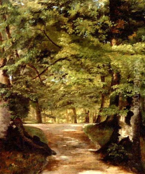Lyspletter Pa En Sti I Skoven Oil Painting - Vilhelm Groth
