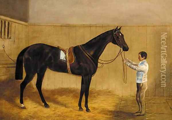 A saddled liver chestnut racehorse held by a groom in a stable Oil Painting - Harry Hall