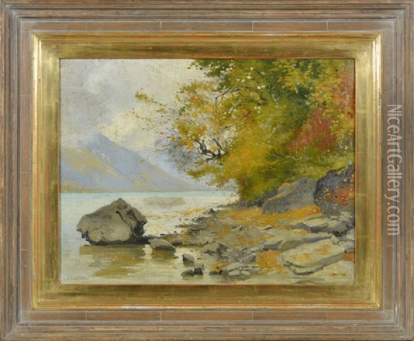 Lac De Brienz, Ringgenberg Oil Painting - Auguste Bachelin