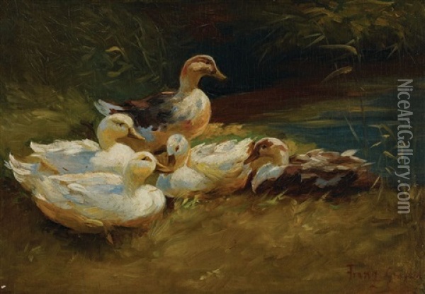 Kaczki Oil Painting - Franz Graessel