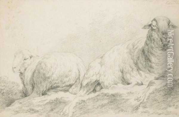Due Pecore Oil Painting - Johann Christian Eckardt