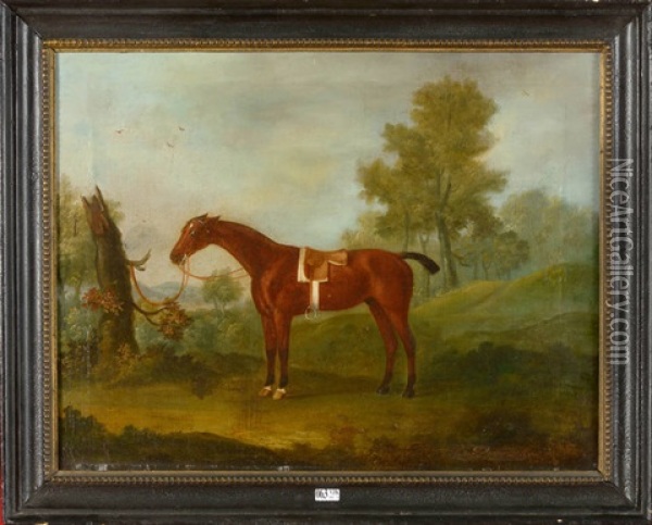 Cheval Attache Dans Une Clairiere Oil Painting - Francis Sartorius the Elder