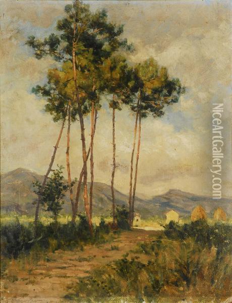Paesaggio Con Alberi Oil Painting - Alberto Grosso