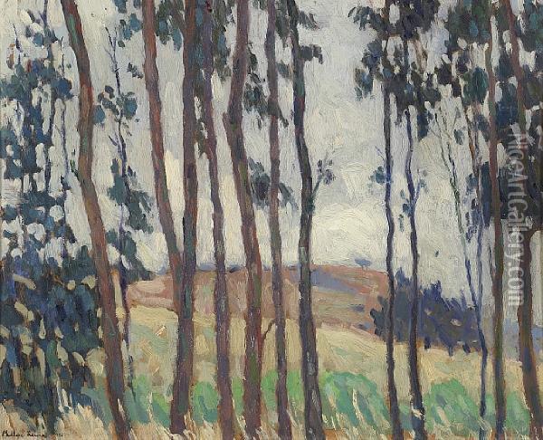 Lanky Eucalyptus Oil Painting - Phillips Frisbie Lewis