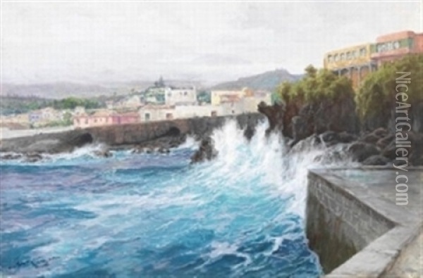 Kuste Bei Puerto Cruz, Orotava Auf Teneriffa Oil Painting - Hans (Johannes) Bohrdt