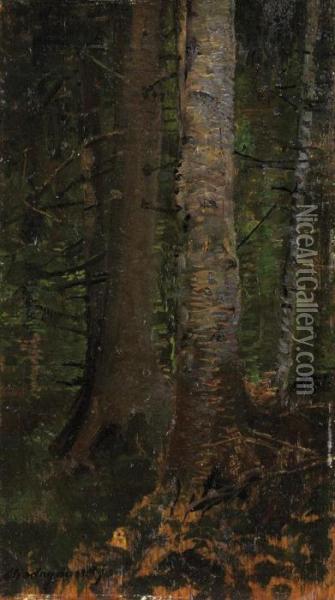 Vnutro Lesa Oil Painting - Ladislav Mednyanszky